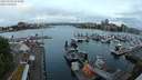 ./images/victoria/wharf/20240518/wharf20240518_054500.jpg