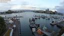 ./images/victoria/wharf/20240518/wharf20240518_055501.jpg