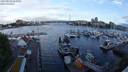 ./images/victoria/wharf/20240518/wharf20240518_062501.jpg