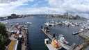 ./images/victoria/wharf/20240518/wharf20240518_133000.jpg