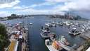 ./images/victoria/wharf/20240518/wharf20240518_142500.jpg