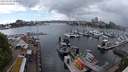 ./images/victoria/wharf/20240518/wharf20240518_153001.jpg