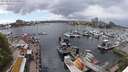 ./images/victoria/wharf/20240518/wharf20240518_154501.jpg