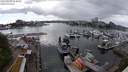 ./images/victoria/wharf/20240518/wharf20240518_164001.jpg