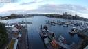 ./images/victoria/wharf/20240519/wharf20240519_055500.jpg