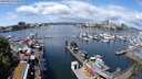 ./images/victoria/wharf/20240519/wharf20240519_120500.jpg