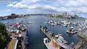 ./images/victoria/wharf/20240519/wharf20240519_122500.jpg