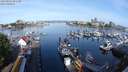 ./images/victoria/wharf/20240520/wharf20240520_081500.jpg