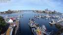 ./images/victoria/wharf/20240520/wharf20240520_091000.jpg