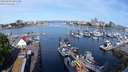 ./images/victoria/wharf/20240520/wharf20240520_091501.jpg