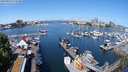 ./images/victoria/wharf/20240520/wharf20240520_111500.jpg