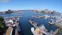 ./images/victoria/wharf/20240520/wharf20240520_112501.jpg