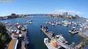 ./images/victoria/wharf/20240520/wharf20240520_124500.jpg