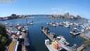 ./images/victoria/wharf/20240520/wharf20240520_130501.jpg