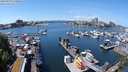 ./images/victoria/wharf/20240520/wharf20240520_131000.jpg