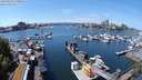 ./images/victoria/wharf/20240520/wharf20240520_133001.jpg