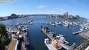 ./images/victoria/wharf/20240520/wharf20240520_133501.jpg