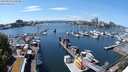 ./images/victoria/wharf/20240520/wharf20240520_134500.jpg