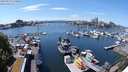 ./images/victoria/wharf/20240520/wharf20240520_135001.jpg