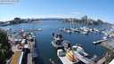 ./images/victoria/wharf/20240520/wharf20240520_141500.jpg