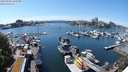 ./images/victoria/wharf/20240520/wharf20240520_143500.jpg