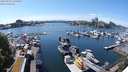 ./images/victoria/wharf/20240520/wharf20240520_145001.jpg