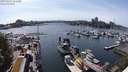 ./images/victoria/wharf/20240520/wharf20240520_161000.jpg