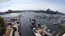 ./images/victoria/wharf/20240520/wharf20240520_162501.jpg