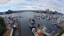 ./images/victoria/wharf/20240522/wharf20240522_132000.jpg