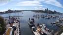 ./images/victoria/wharf/20240522/wharf20240522_162500.jpg