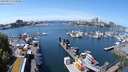 ./images/victoria/wharf/20240523/wharf20240523_131000.jpg