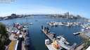 ./images/victoria/wharf/20240523/wharf20240523_134000.jpg