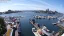 ./images/victoria/wharf/20240523/wharf20240523_150500.jpg