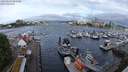 ./images/victoria/wharf/20240525/wharf20240525_081500.jpg