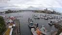 ./images/victoria/wharf/20240525/wharf20240525_132500.jpg