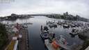 ./images/victoria/wharf/20240527/wharf20240527_091500.jpg