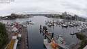 ./images/victoria/wharf/20240527/wharf20240527_100001.jpg