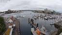 ./images/victoria/wharf/20240527/wharf20240527_101500.jpg