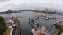 ./images/victoria/wharf/20240527/wharf20240527_115000.jpg