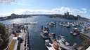 ./images/victoria/wharf/20240528/wharf20240528_162501.jpg