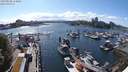 ./images/victoria/wharf/20240528/wharf20240528_163001.jpg