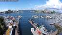 ./images/victoria/wharf/20240529/wharf20240529_115500.jpg