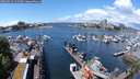 ./images/victoria/wharf/20240529/wharf20240529_124500.jpg