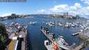 ./images/victoria/wharf/20240529/wharf20240529_125001.jpg