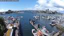 ./images/victoria/wharf/20240529/wharf20240529_132501.jpg