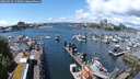 ./images/victoria/wharf/20240529/wharf20240529_133001.jpg