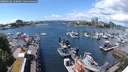 ./images/victoria/wharf/20240529/wharf20240529_134500.jpg