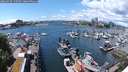 ./images/victoria/wharf/20240529/wharf20240529_135500.jpg