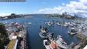 ./images/victoria/wharf/20240529/wharf20240529_141500.jpg