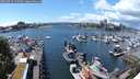 ./images/victoria/wharf/20240529/wharf20240529_142501.jpg